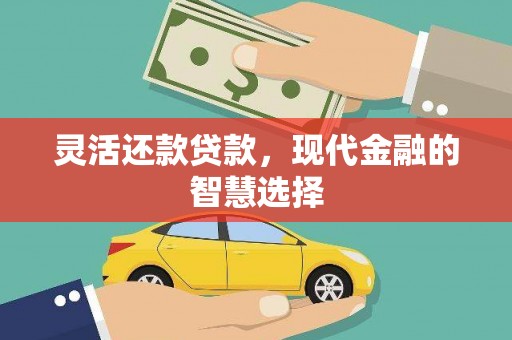 高阳灵活还款贷款，现代金融的智慧选择