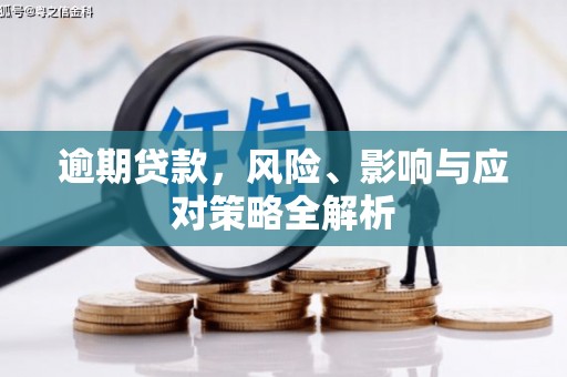 洛浦逾期贷款，风险、影响与应对策略全解析