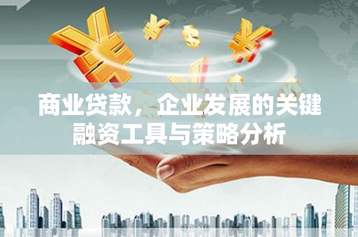 大埔商业贷款，企业发展的关键融资工具与策略分析