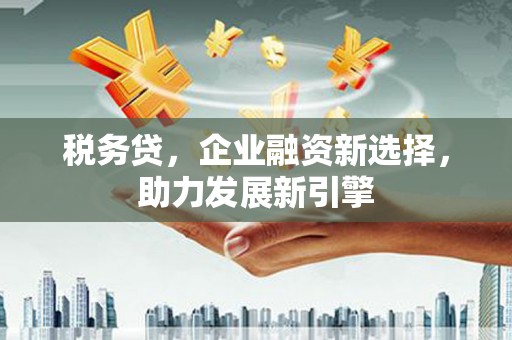 繁昌税务贷，企业融资新选择，助力发展新引擎