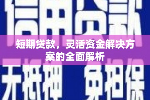 武清短期贷款，灵活资金解决方案的全面解析
