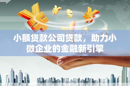 平潭小额贷款公司贷款，助力小微企业的金融新引擎