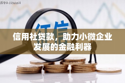 两江新区信用社贷款，助力小微企业发展的金融利器