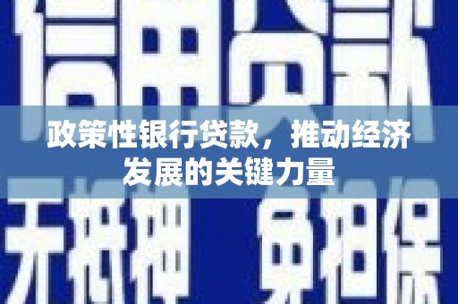 凯里政策性银行贷款，推动经济发展的关键力量