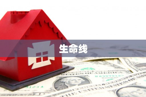 临潭生命线
