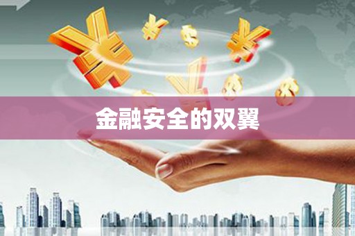 嘉禾金融安全的双翼
