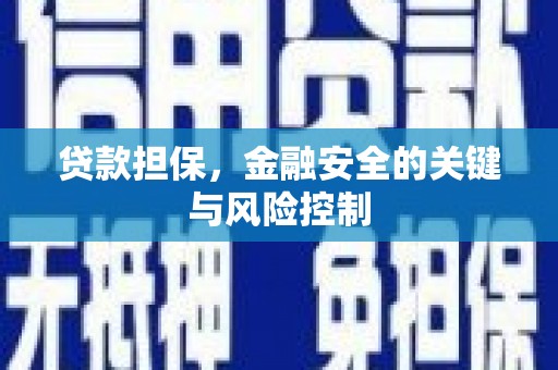 南投贷款担保，金融安全的关键与风险控制