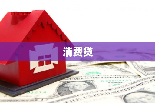 卧龙消费贷