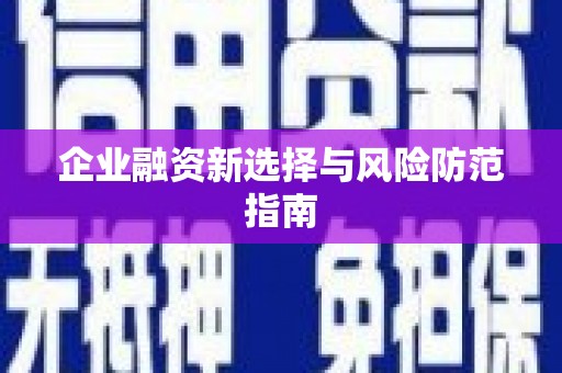 九龙城企业融资新选择与风险防范指南