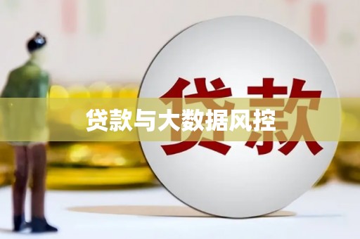 海盐贷款与大数据风控