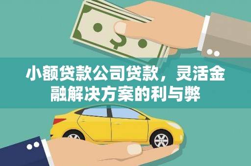 福州小额贷款公司贷款，灵活金融解决方案的利与弊