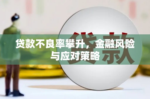 巩留贷款不良率攀升，金融风险与应对策略