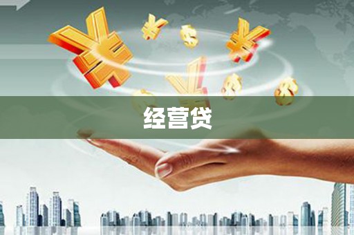 海安经营贷